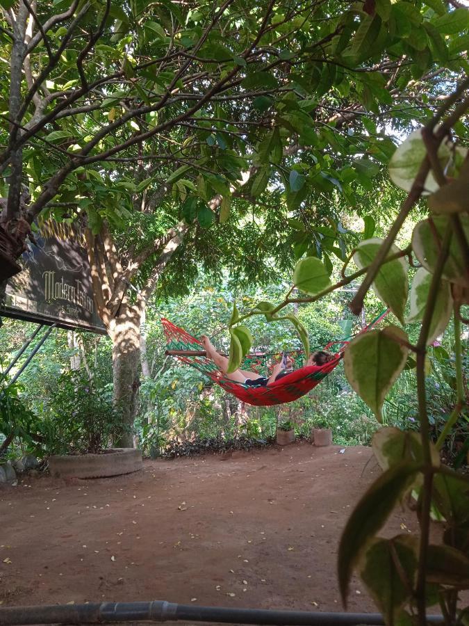 Cozy House Hostel 埃拉 外观 照片